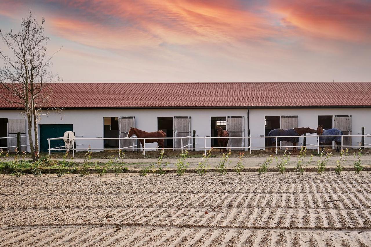 Brussa Horse Oasi Villa Caorle Luaran gambar