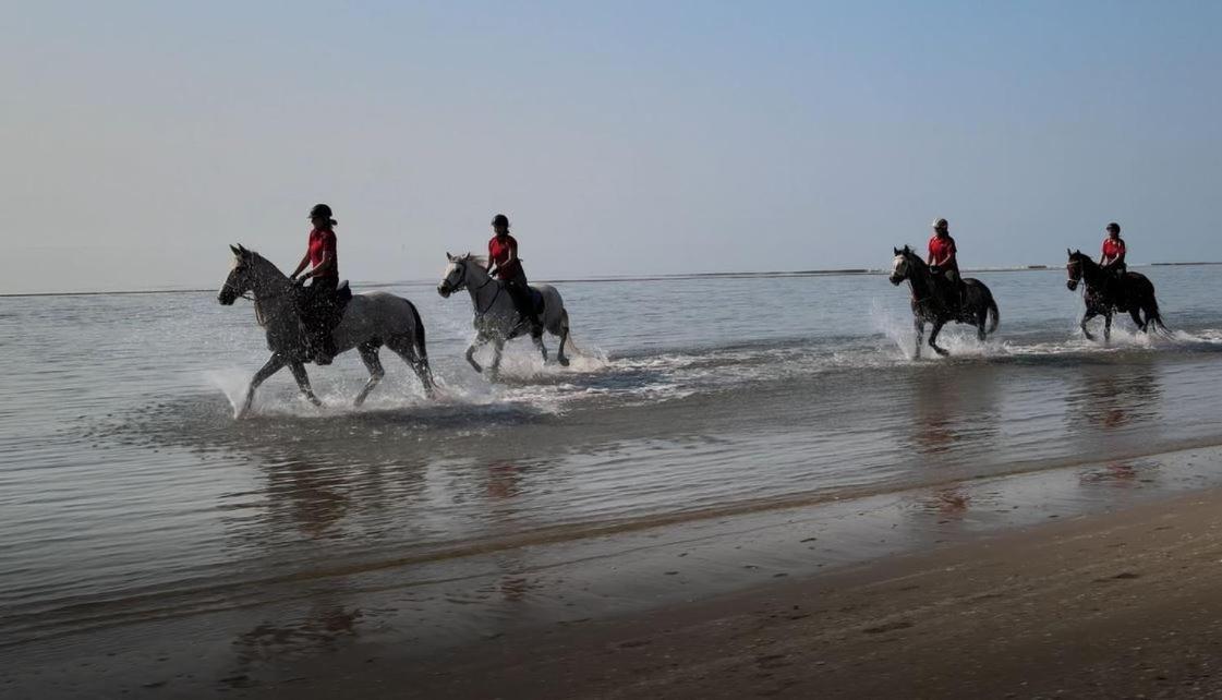 Brussa Horse Oasi Villa Caorle Luaran gambar